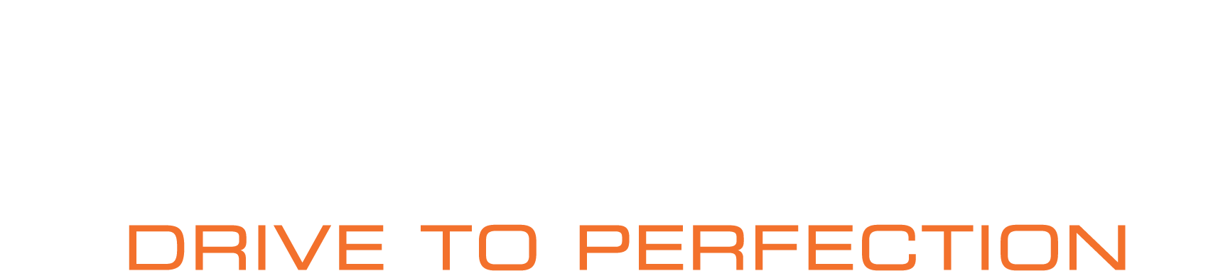 Drive to Perfection-logo